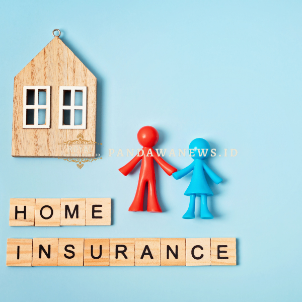 Kin Insurance vs Traditional Home Insurance: Which Is More Affordable?
